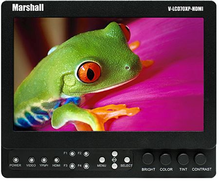 Immagine per la categoria Monitore LCD
